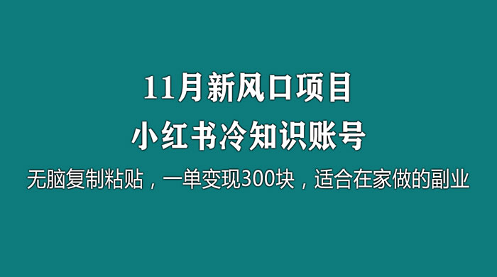 11 月新风口项目，小红书冷知识账号，无脑复制粘贴，一单变现 300 块，适合在家做的副业 - 源空间