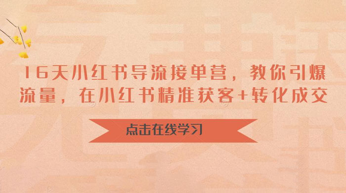 16 天小红书导流接单营：教你引爆流量，在小红书精准获客+转化成交 - 源空间