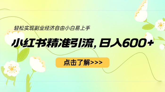 小红书精准引流：轻松实现副业经济自由（教程 + 1153G 资源） - 源空间