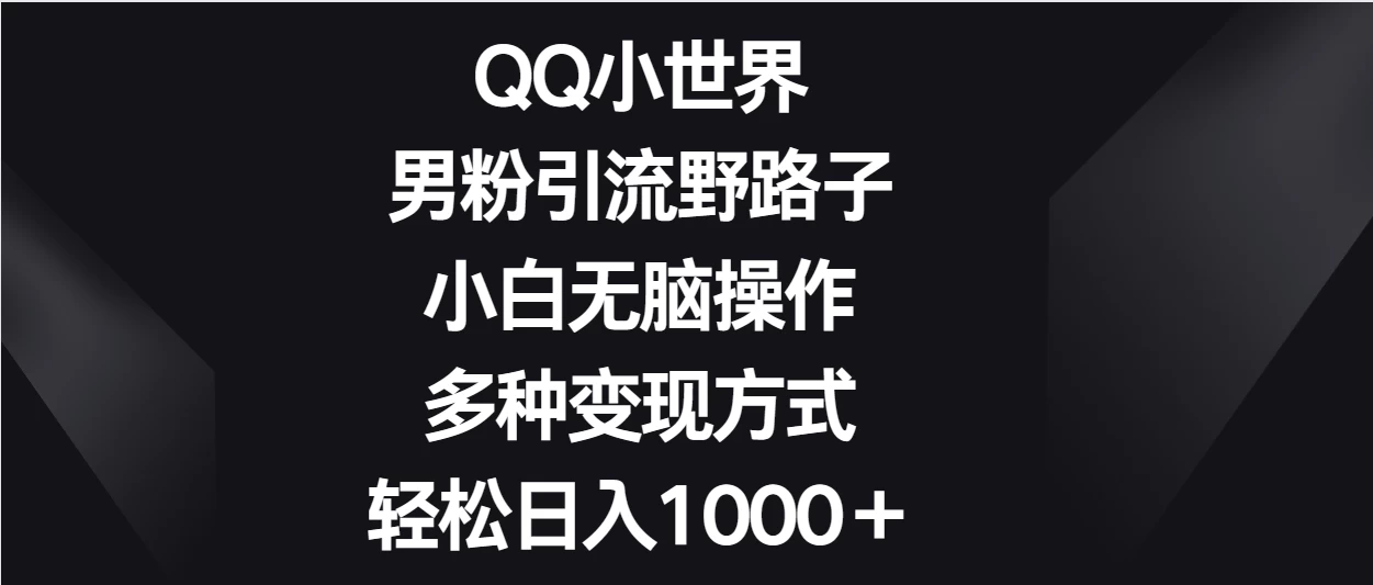 QQ小世界男粉引流野路子，小白无脑操作，多种变现方式轻松日入1000＋ - 源空间