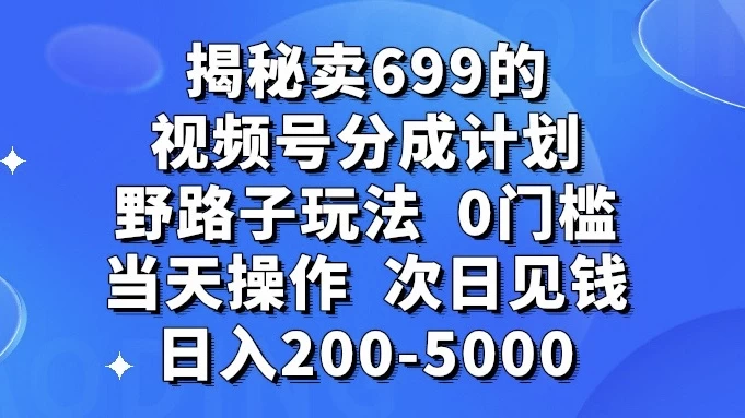 揭秘卖 699 的视频号分成计划野路子玩法，日入 200-5000，0 门槛，当天操作，次日见钱 - 源空间