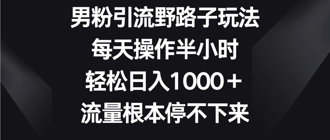 男粉引流野路子玩法，每天操作半小时轻松日入1000＋，流量根本停不下来 - 源空间