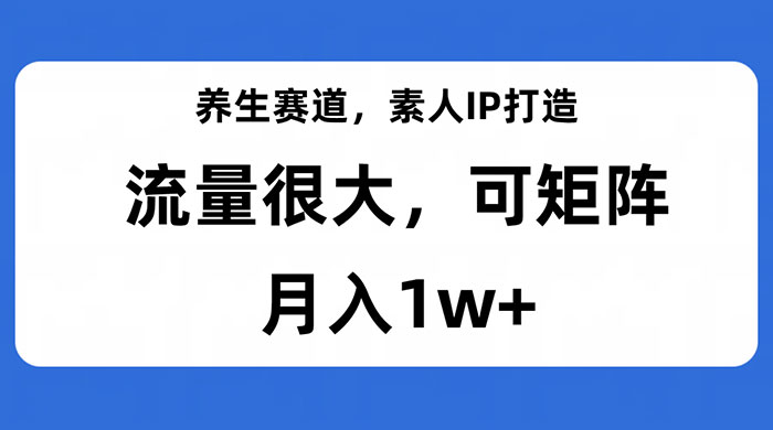 养生赛道，素人IP打造，流量很大，可矩阵，月入1w+ - 源空间