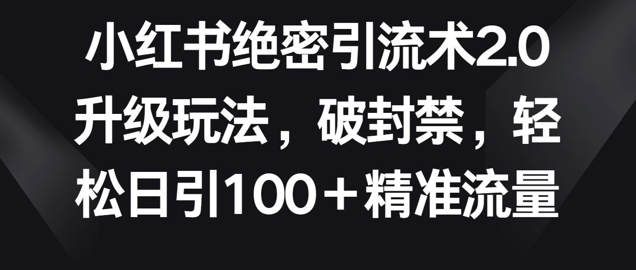 小红书绝密引流术2.0升级玩法，破封禁，轻松日引100＋精准流量 - 源空间