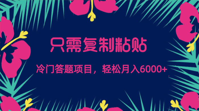 只需复制粘贴，冷门答题项目，轻松月入 6000 - 源空间