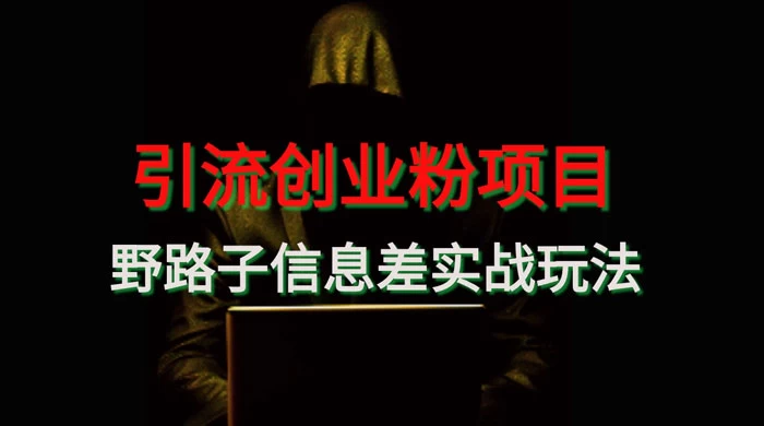 野路子信息差玩法实战教学，引流创业粉 - 源空间