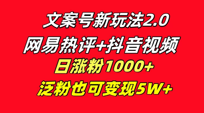 文案号新玩法，网易热评+抖音文案 一周轻松涨粉 5W+ 多种变现模式 - 源空间