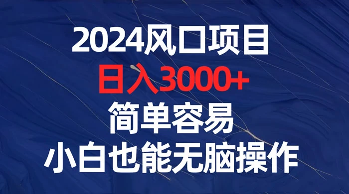 2024 风口项目，日入 3000+，简单容易，小白也能无脑操作 - 源空间
