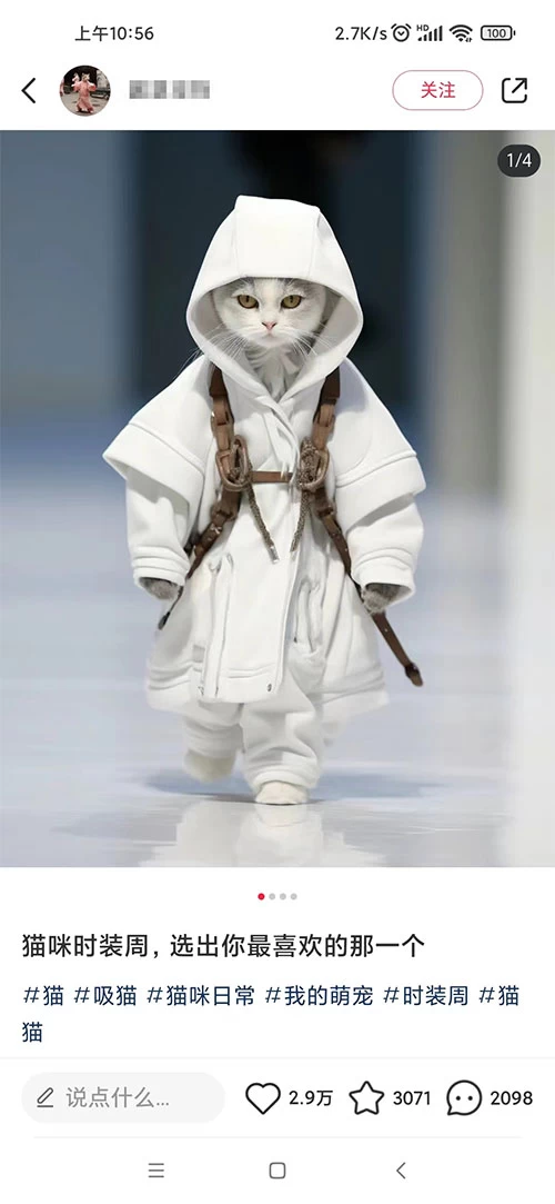 图片[2] - 小红书最新爆款项目，Animal 秀，7天变现 1w+ - 源空间