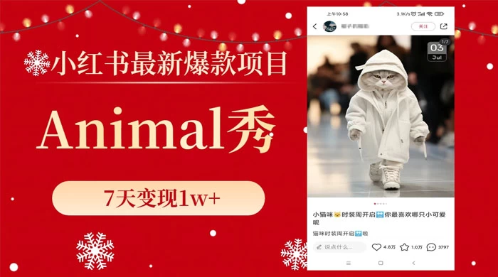 小红书最新爆款项目，Animal 秀，7天变现 1w+ - 源空间