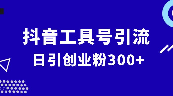 抖音工具号引流玩法，日引创业粉 300+ - 源空间