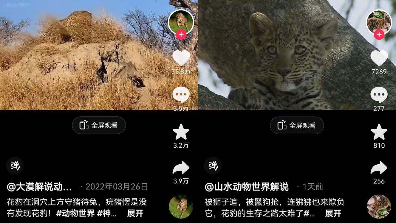 外面卖 1699 的国外纪录片解说：动物、美食、动画片解说，稳过中视频 - 源空间