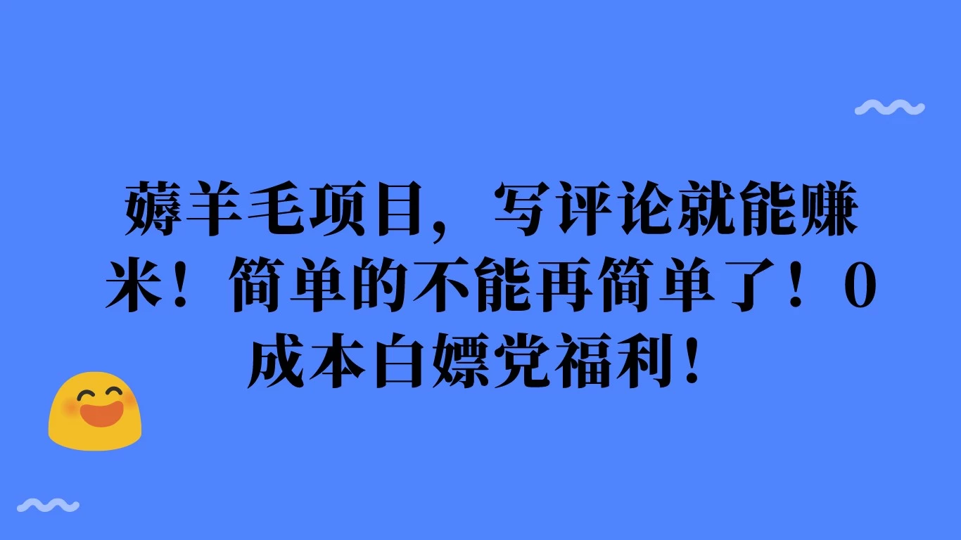 薅羊毛项目，写评论就能赚米！简单的不能再简单了！0成本白嫖党福利！ - 源空间