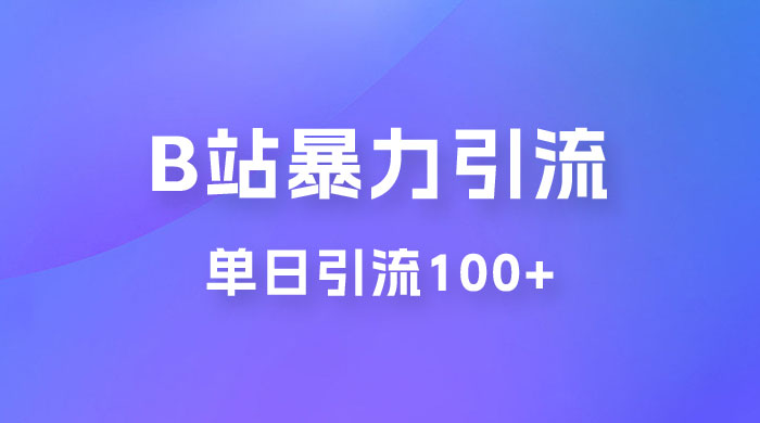 B 站暴力引流新玩法，单日引流 100+ - 源空间