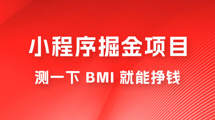 日入 300+ 的小程序掘金项目，测一下 BMI 就能挣钱 - 源空间