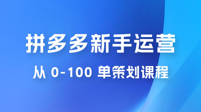 拼多多新手运营从 0-100 单策划课程，从零起步到爆单详细教程 - 源空间