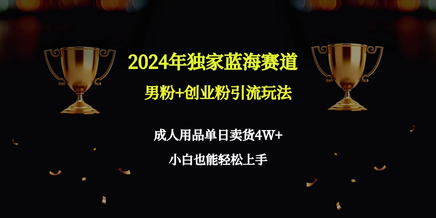 2024独家蓝海赛道，男粉＋创业粉引流玩法。 - 源空间